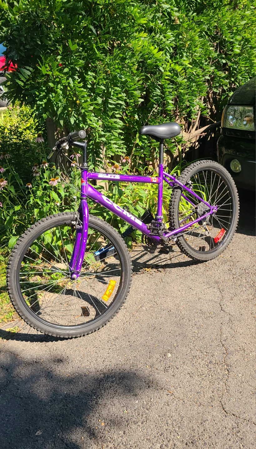 Vintage CCM Mountain Bike - Blitz, Oversize Frame, 21 Speed - photo 3
