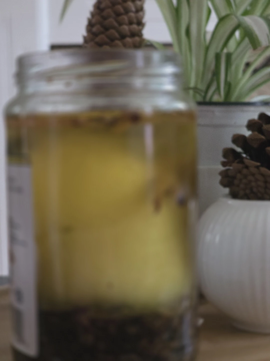 Glass Jar Infused Oil with Botanicals for hair.organic - photo 2