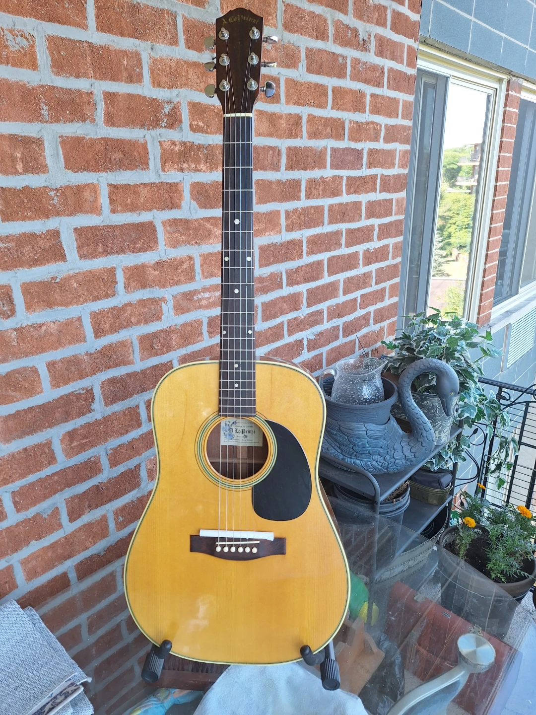 A. Lo Prinzi Acoustic Guitar