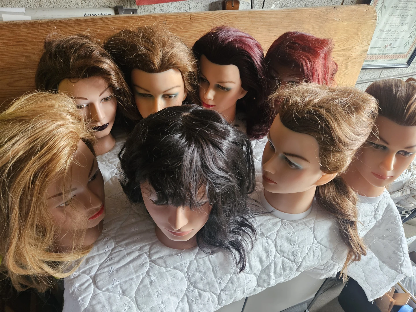 Lot of 7 Mannequin Heads with Hair
