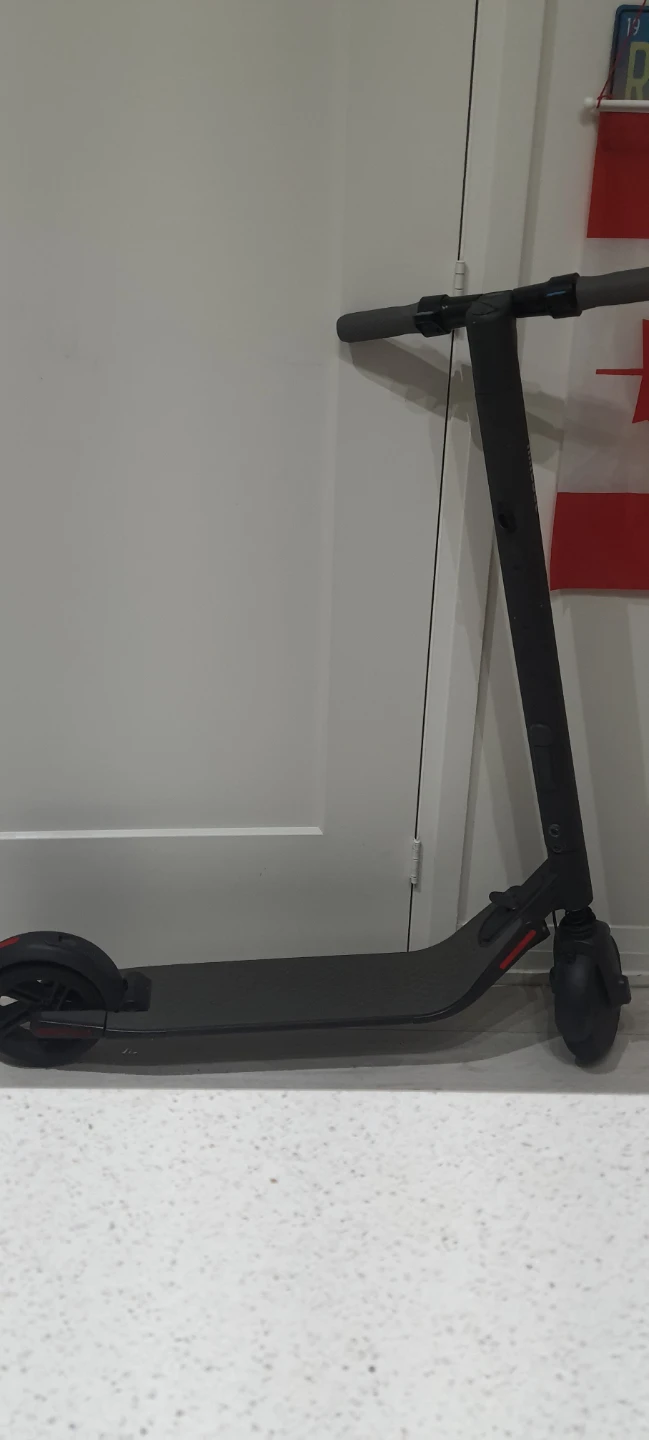 Ninebot by Segway electric scooter