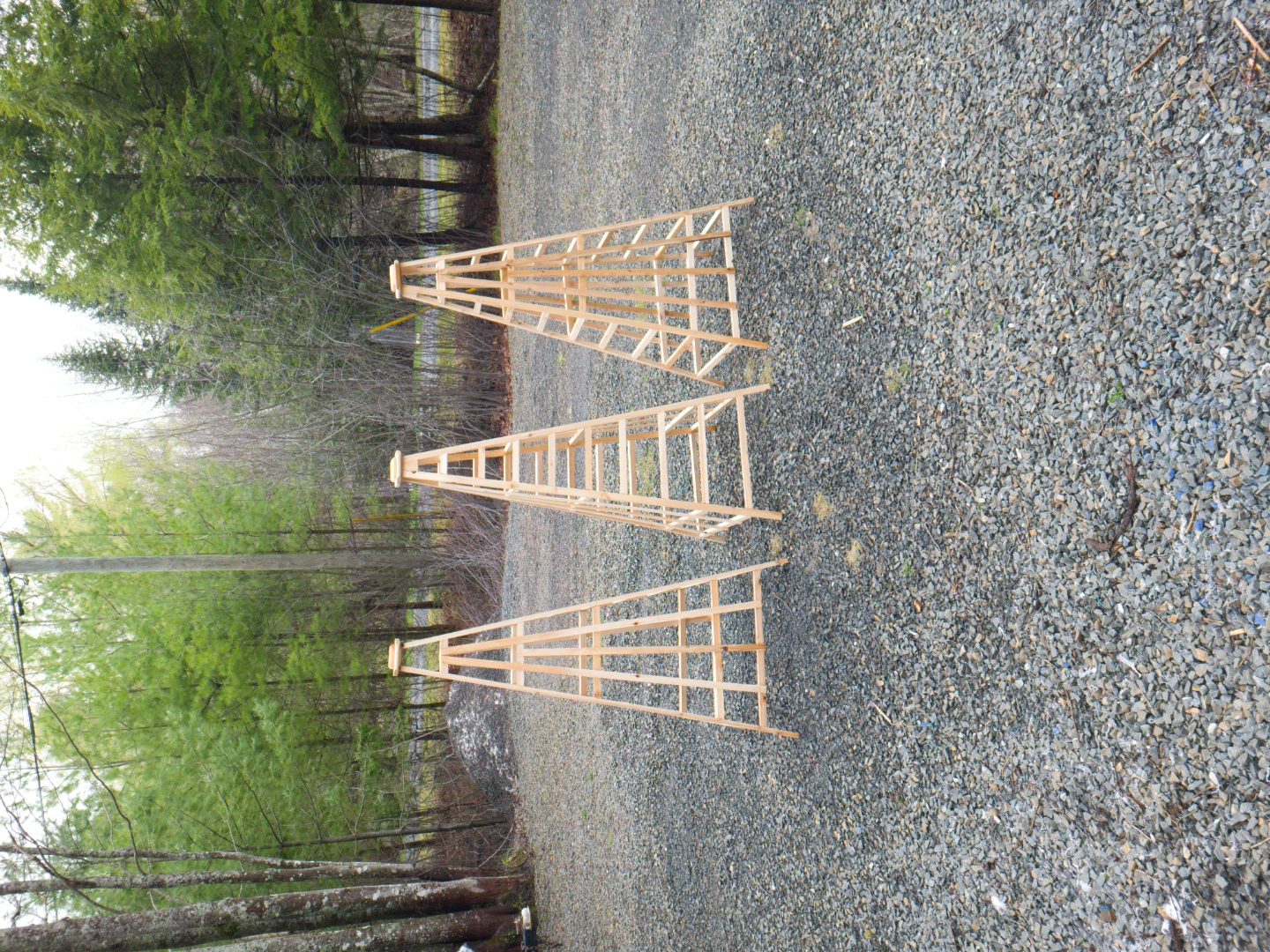Garden pyramid trellises - photo 4