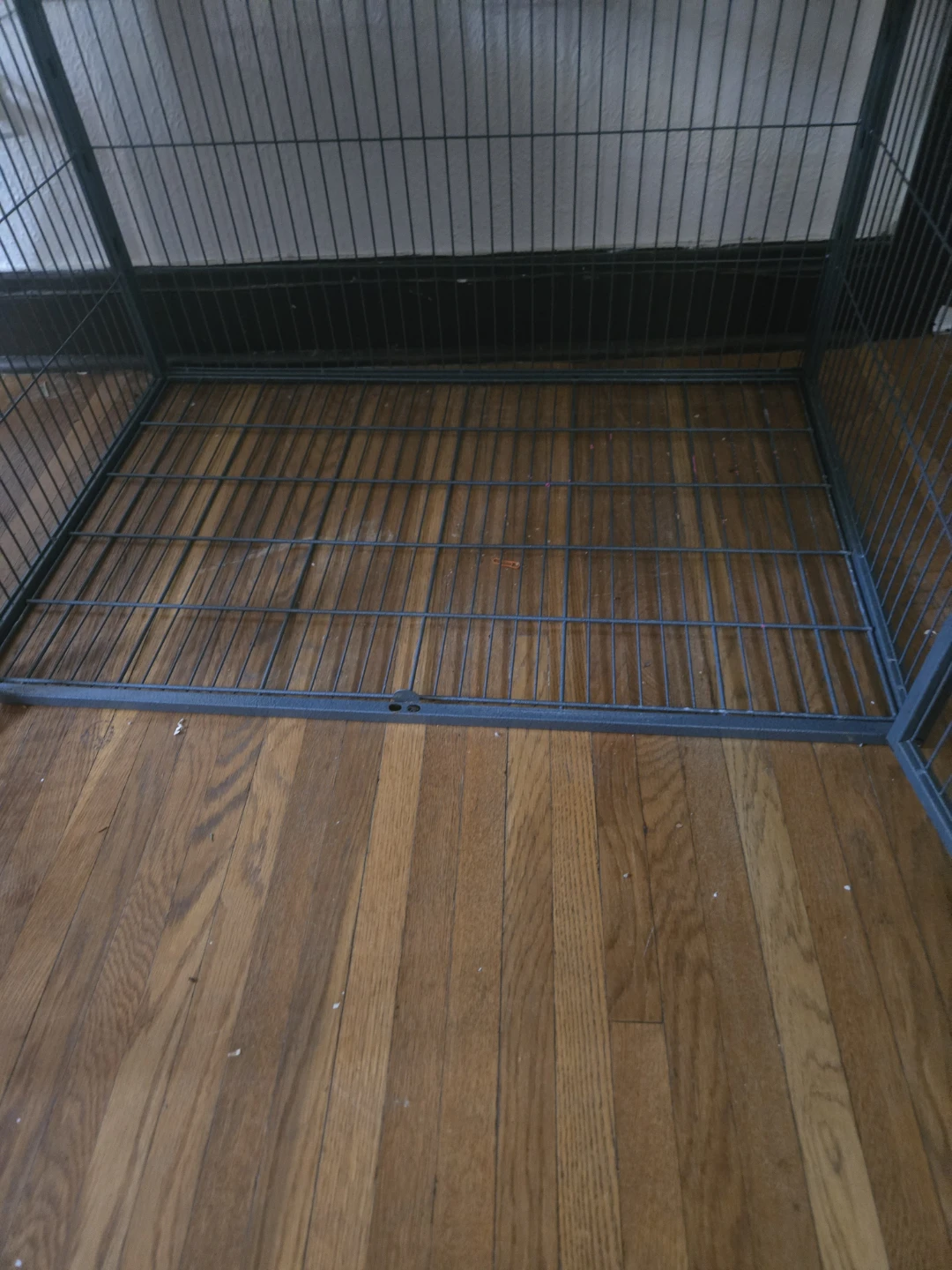 Ferret nation cage ( please read) - photo 3