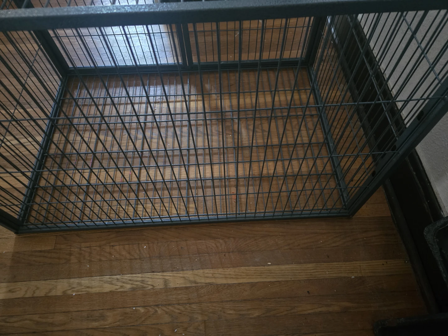 Ferret nation cage ( please read) - photo 4