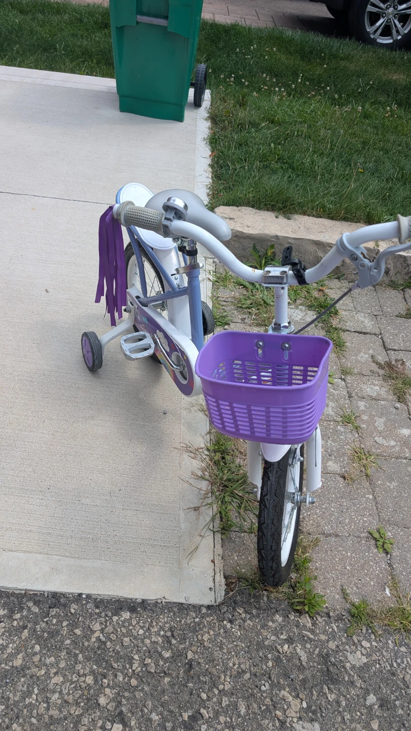 🚲 Purple Kids Bike – 14 Inch - photo 4