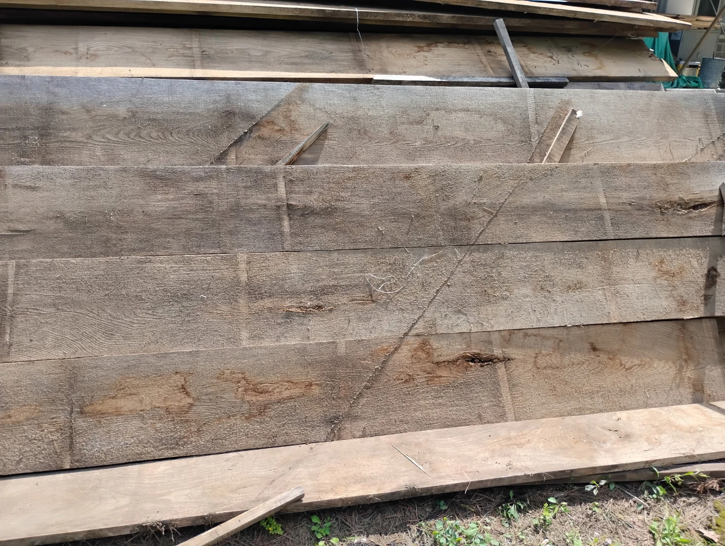 White pine for sale - photo 4
