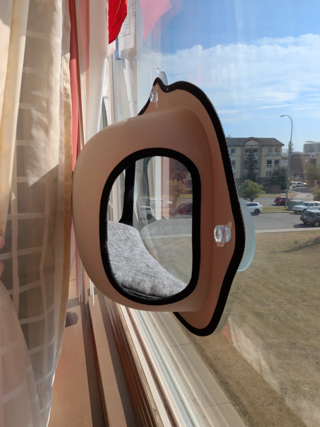 New Cat Window Perch