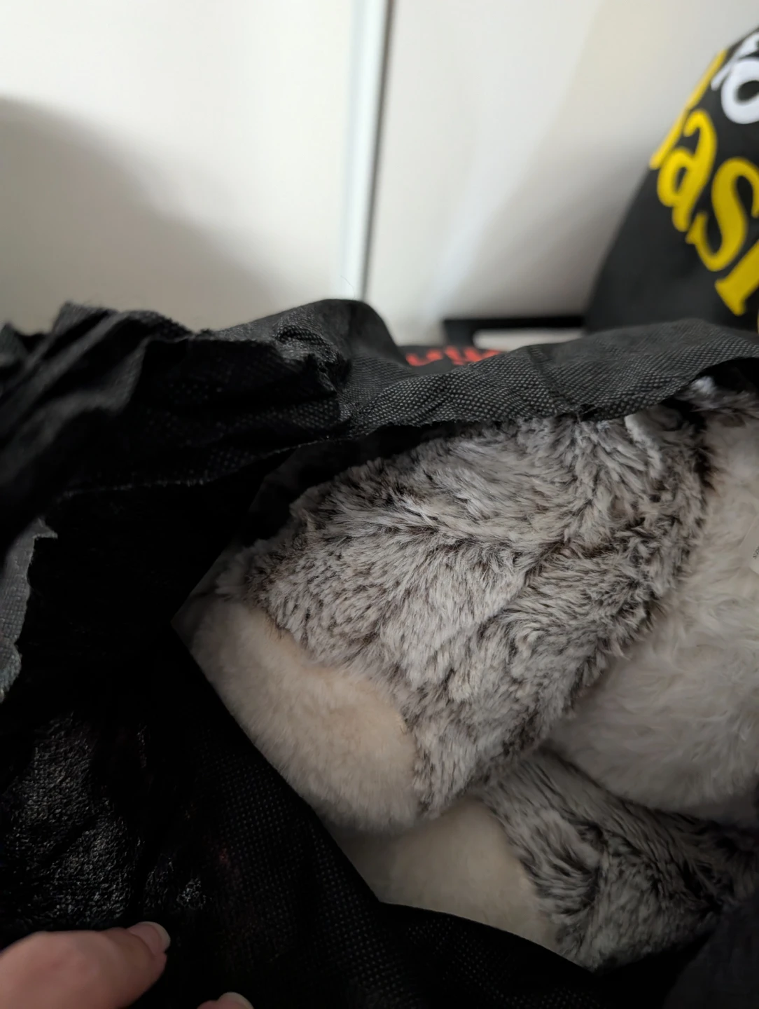 Furry Plush Toys