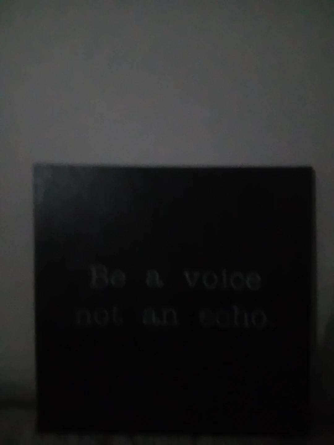 Be a voice not an echo canvas art