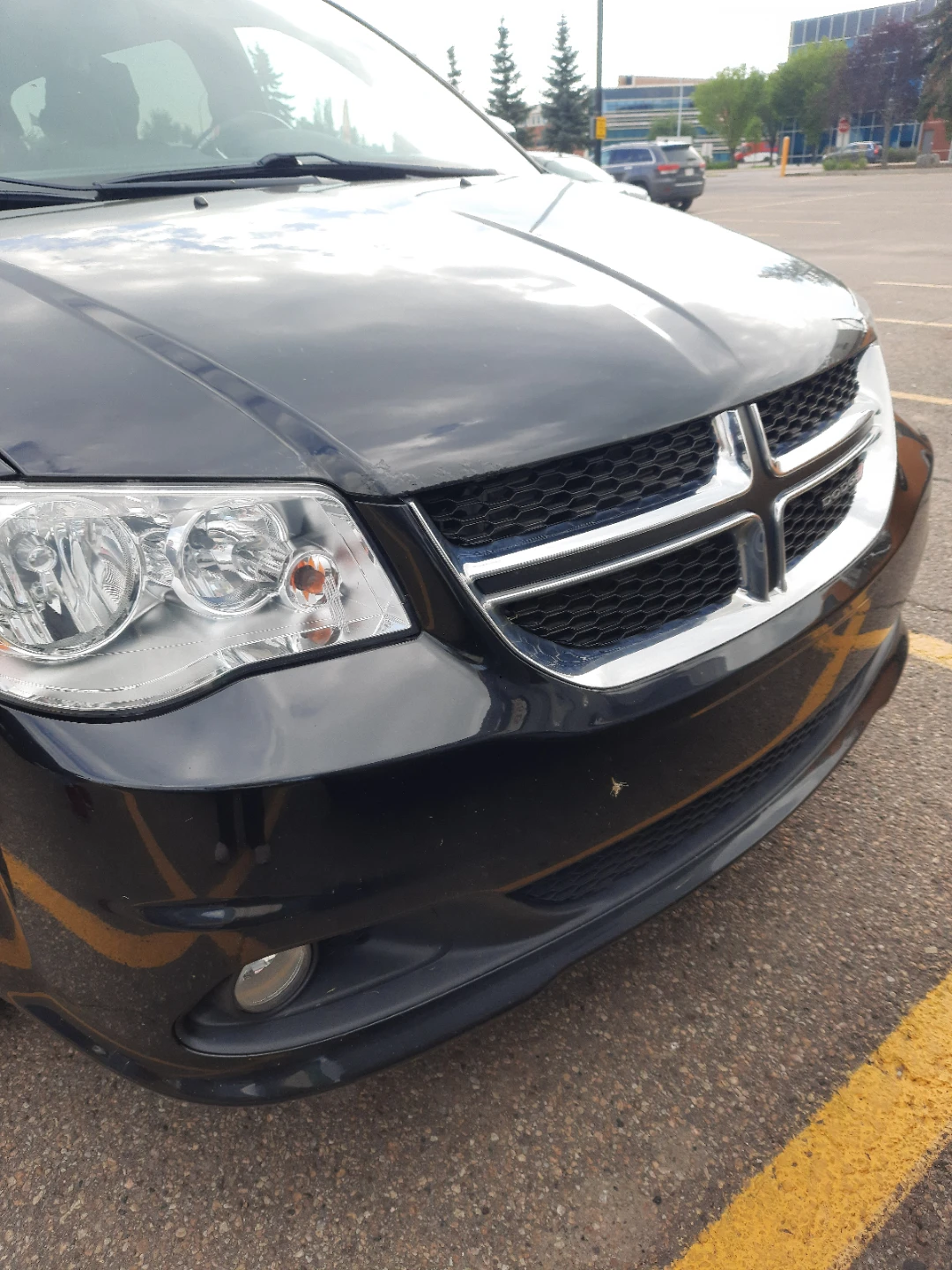 Dodge Grand Caravan Minivan - photo 4