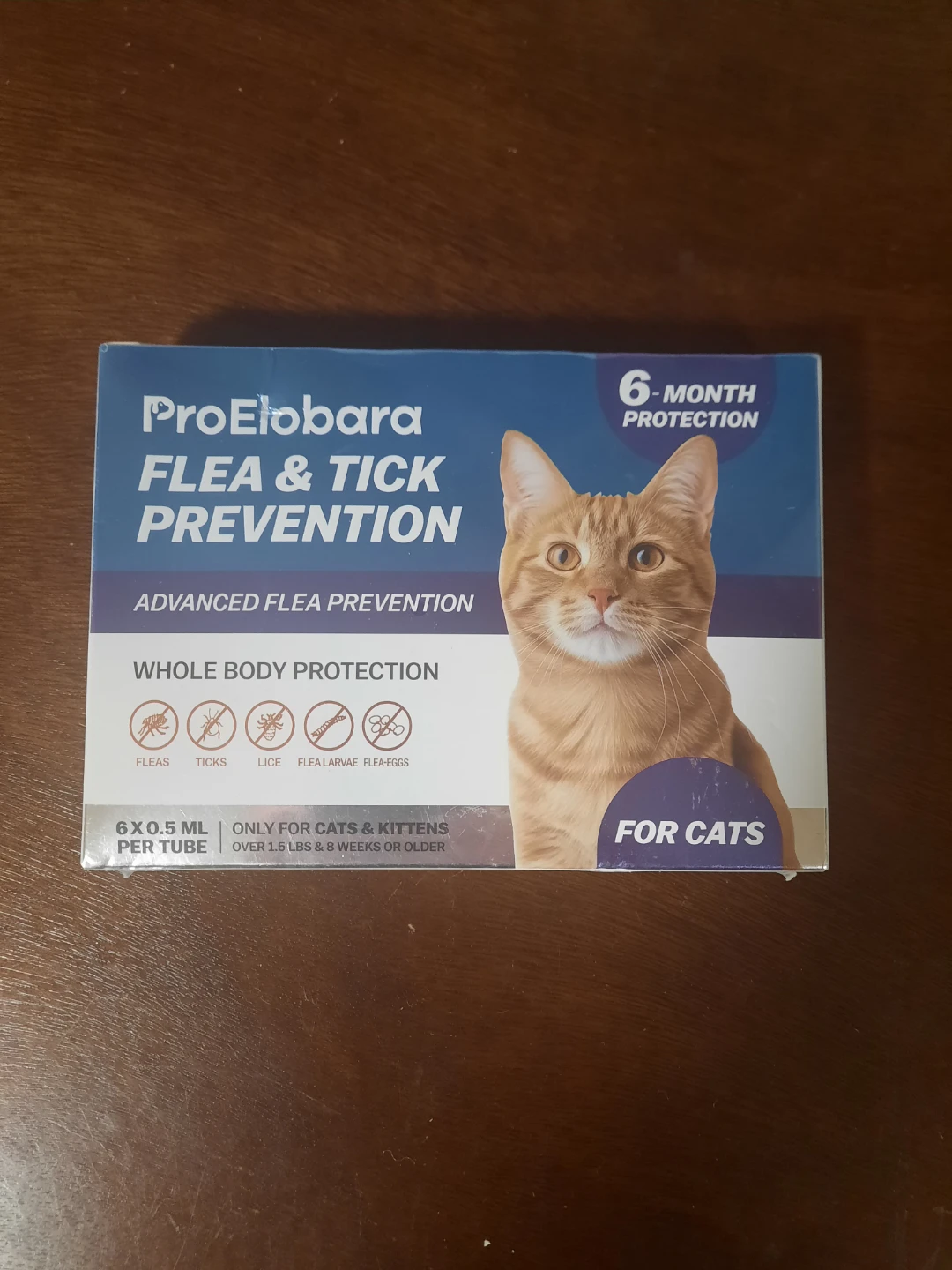 Flea & Tick Prevention for Cats