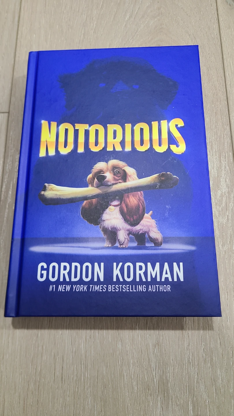 Notorious by Gordon Korman - Hardcover Book