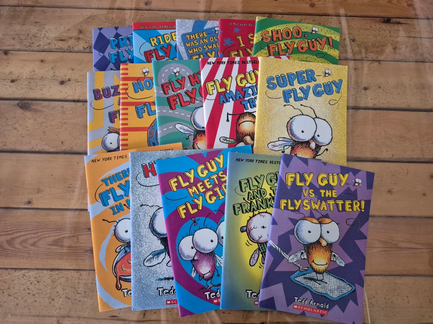Fly Guy Book Series by Tedd Arnold - 15 books