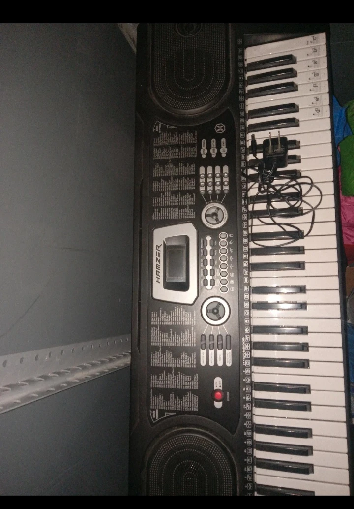 Electric Keyboard - photo 2