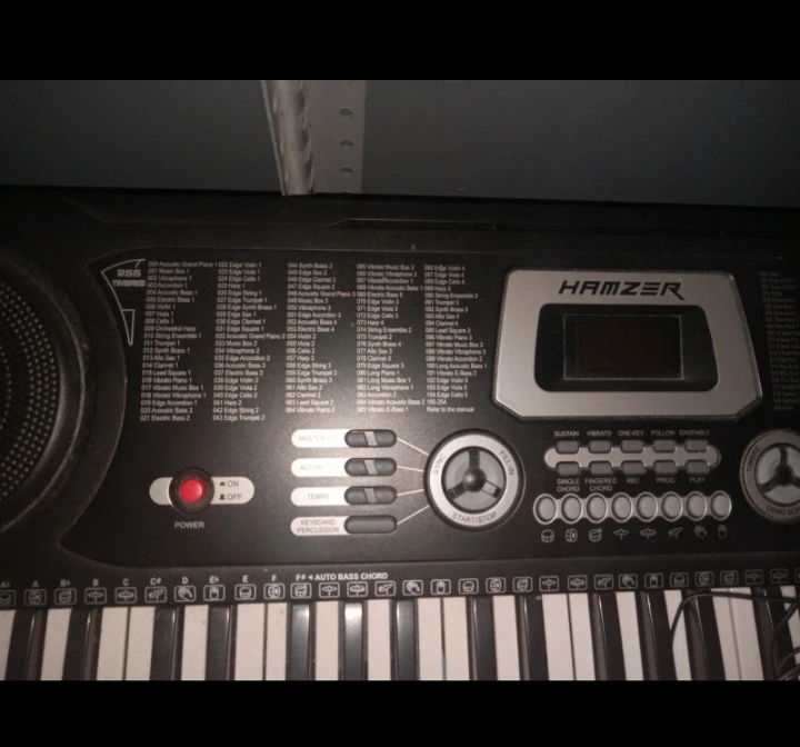 Electric Keyboard