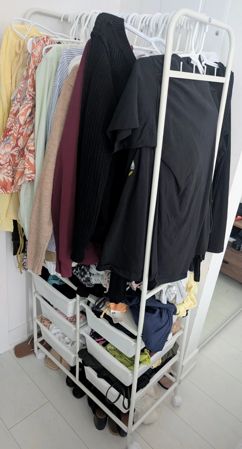 Clothing rack (mobile)