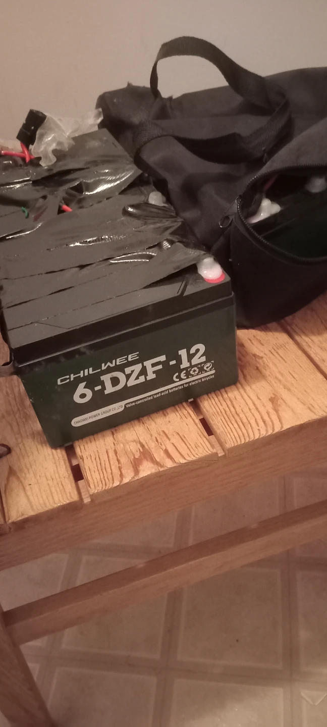 Chilwee 6-DZF-12 Valve-controlled Lead-Acid Battery