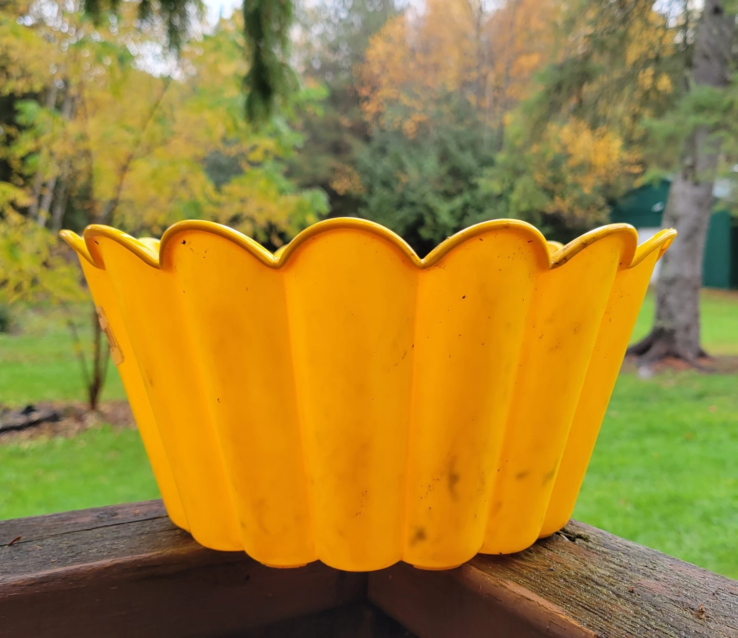 Yellow Decorative Flower Pot