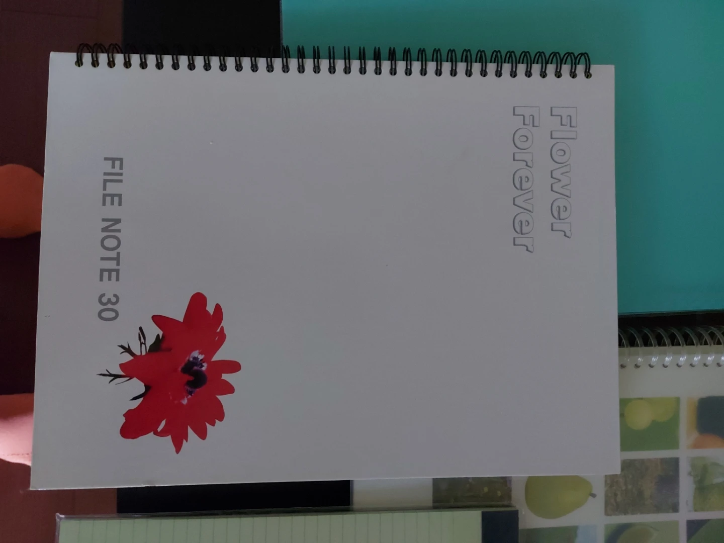 New ones. Binder, note books - photo 2
