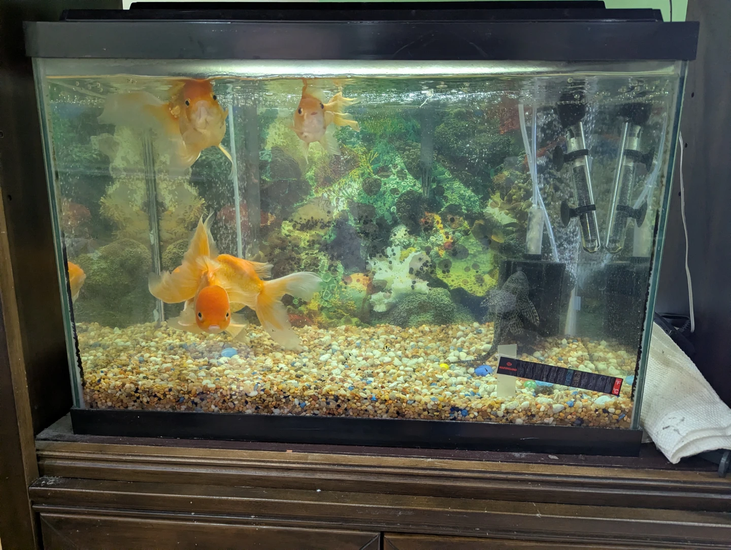 Wooden Aquarium Stand with Tank - photo 2