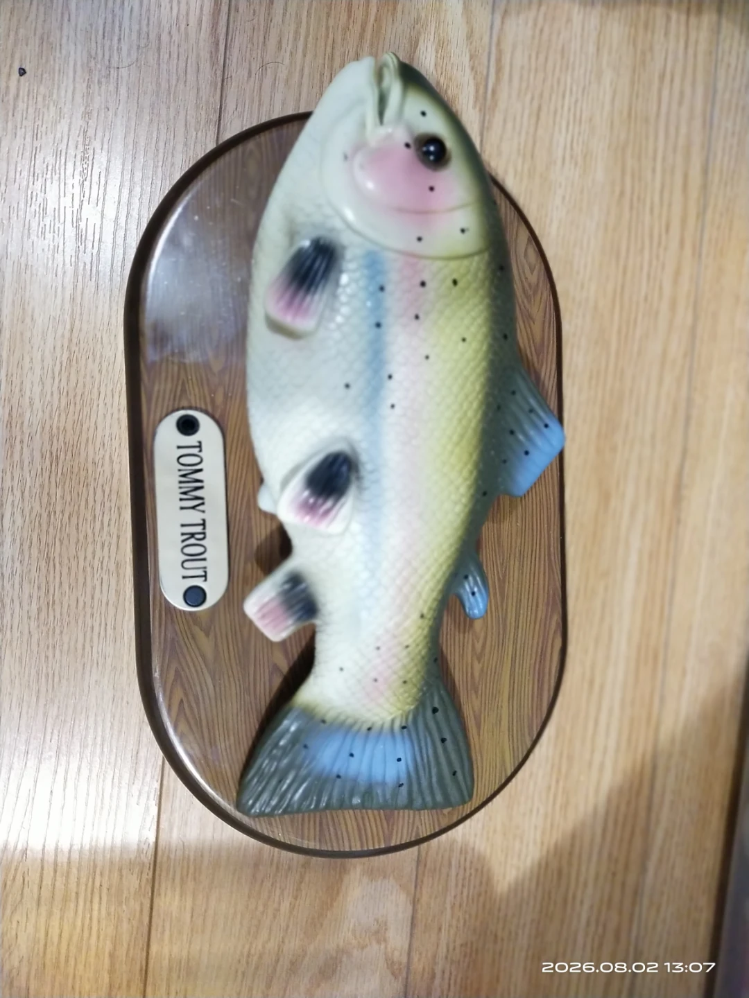 Tommy Trout singing fish Wall Decor battery operated