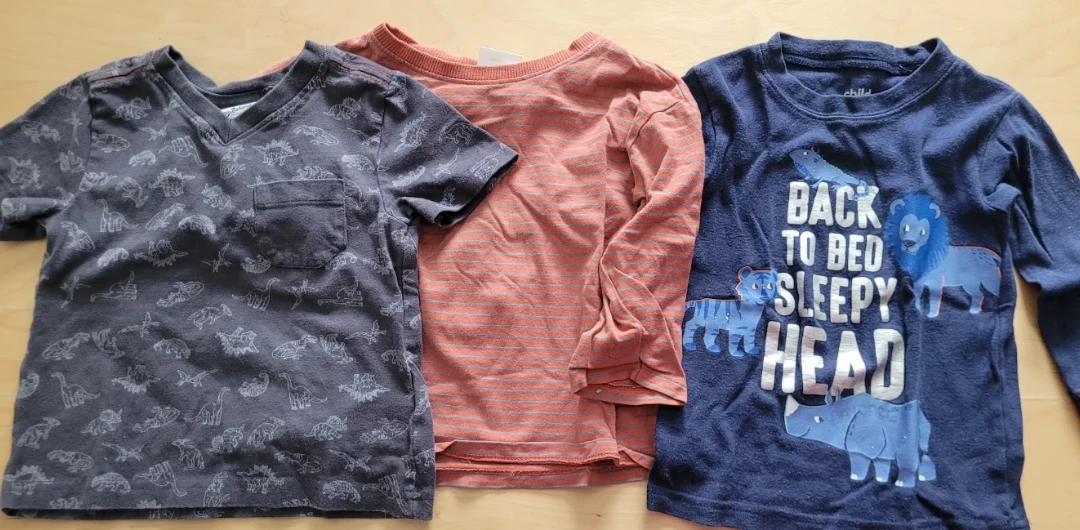 18M Carters Baby Bodysuits and Kids Tops Bundle - photo 3