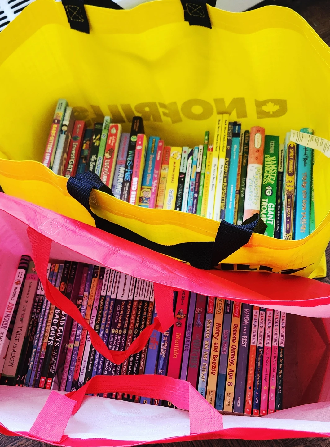 2 bags of children books (99 books)