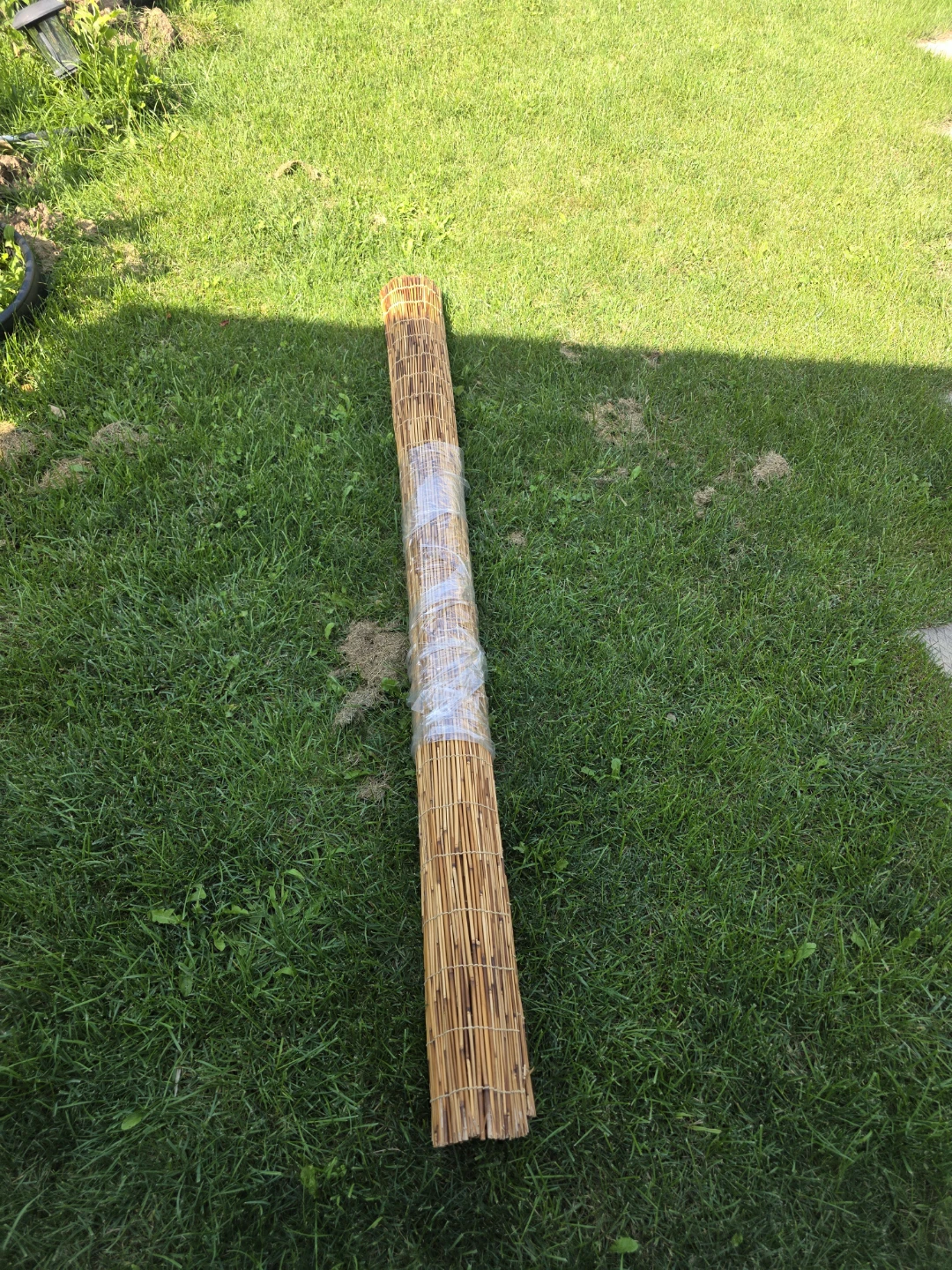 Bamboo Reed Roll Screen/Fence