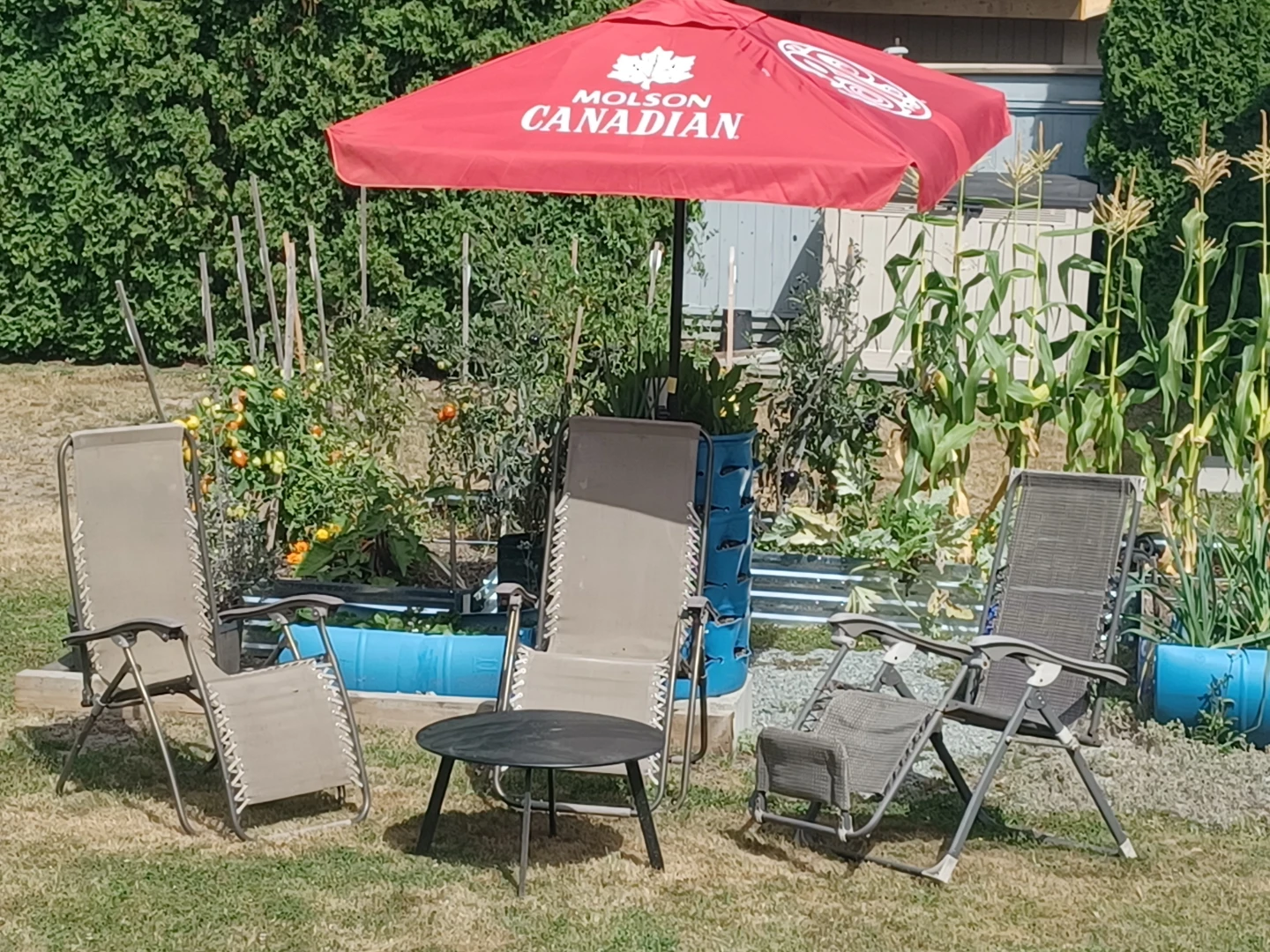 Molson Canadian Patio Umbrella - photo 2