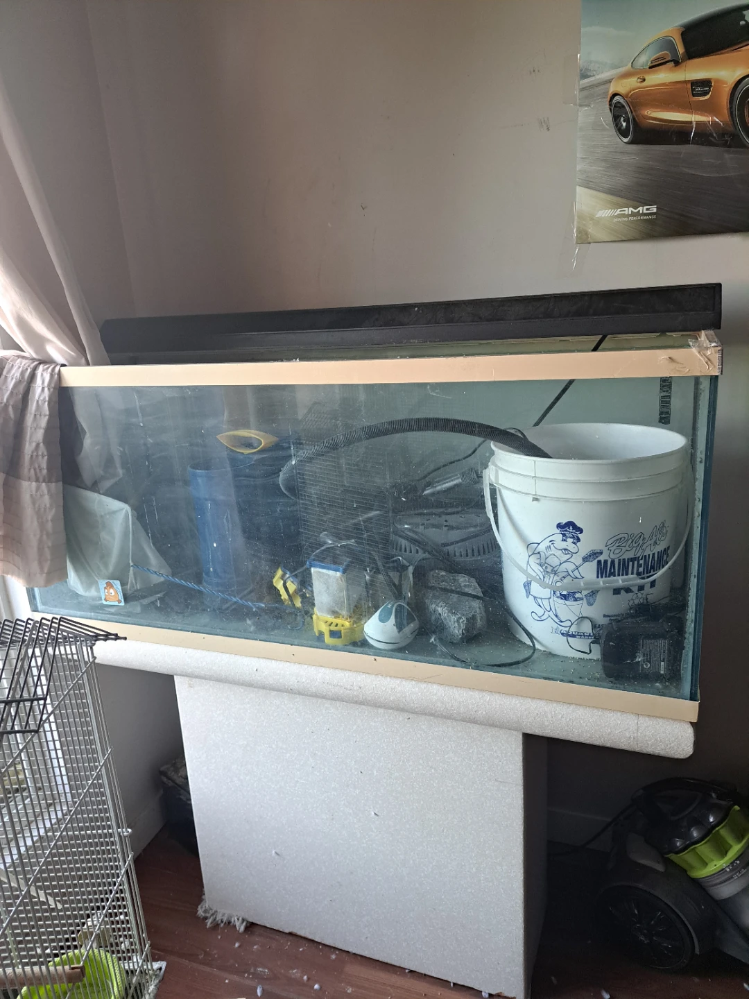 aquarium