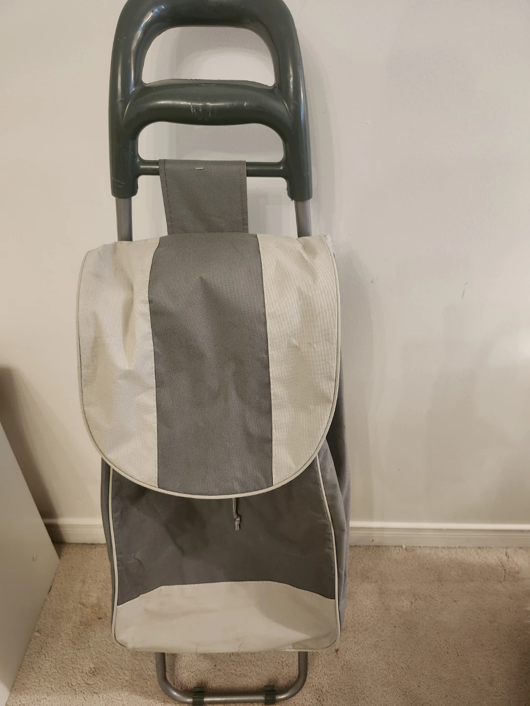 Shopping Cart Trolley Bag - photo 2