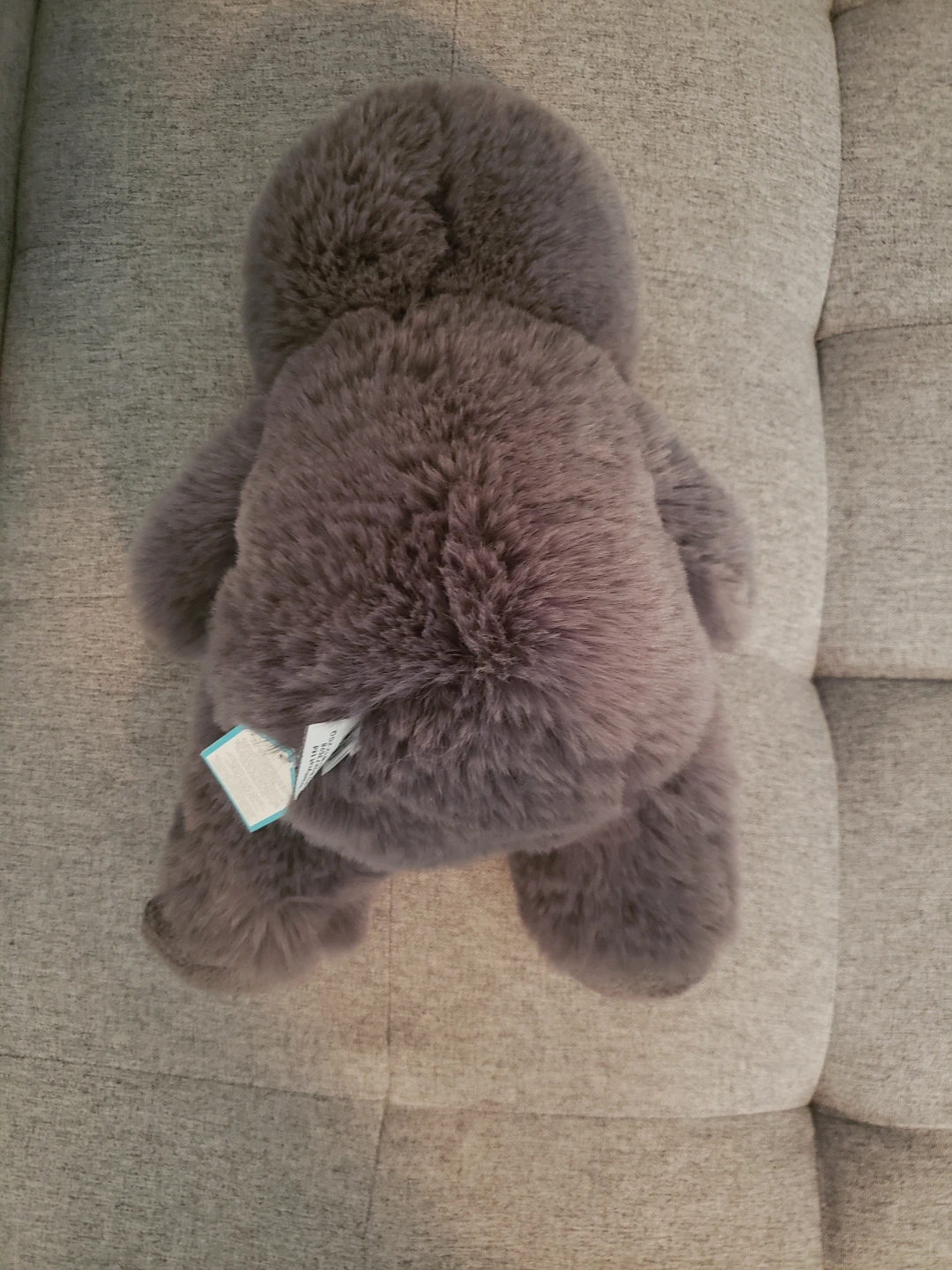 Jellycat Wilf Wolf BNWT - Rare - photo 4