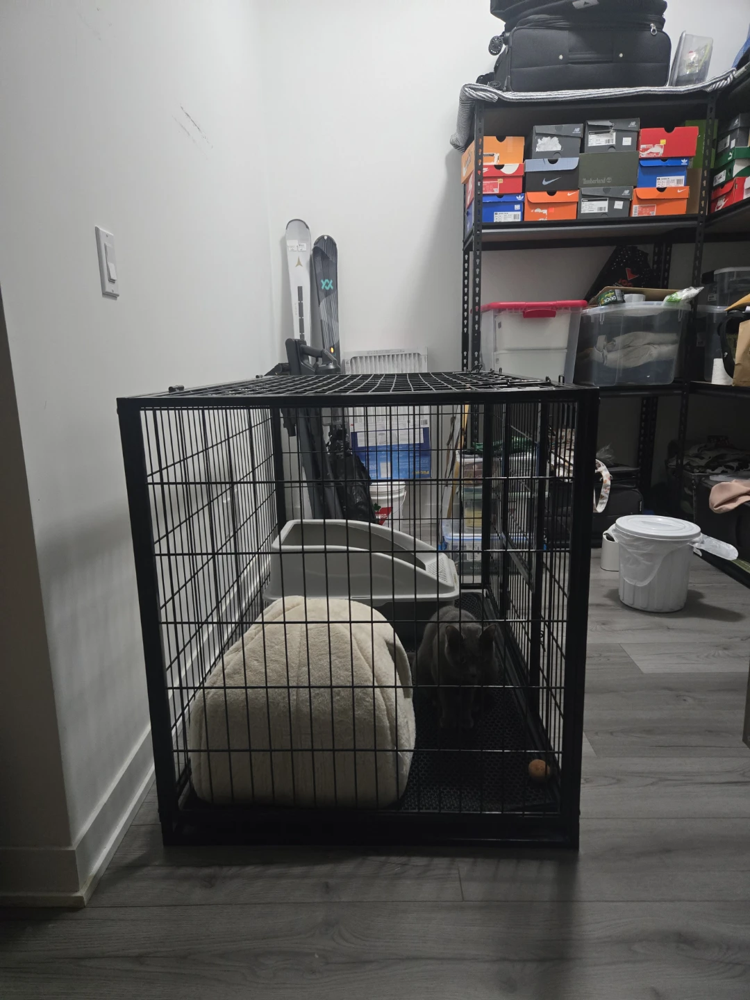Large Metal Pet Dog Crate - photo 4