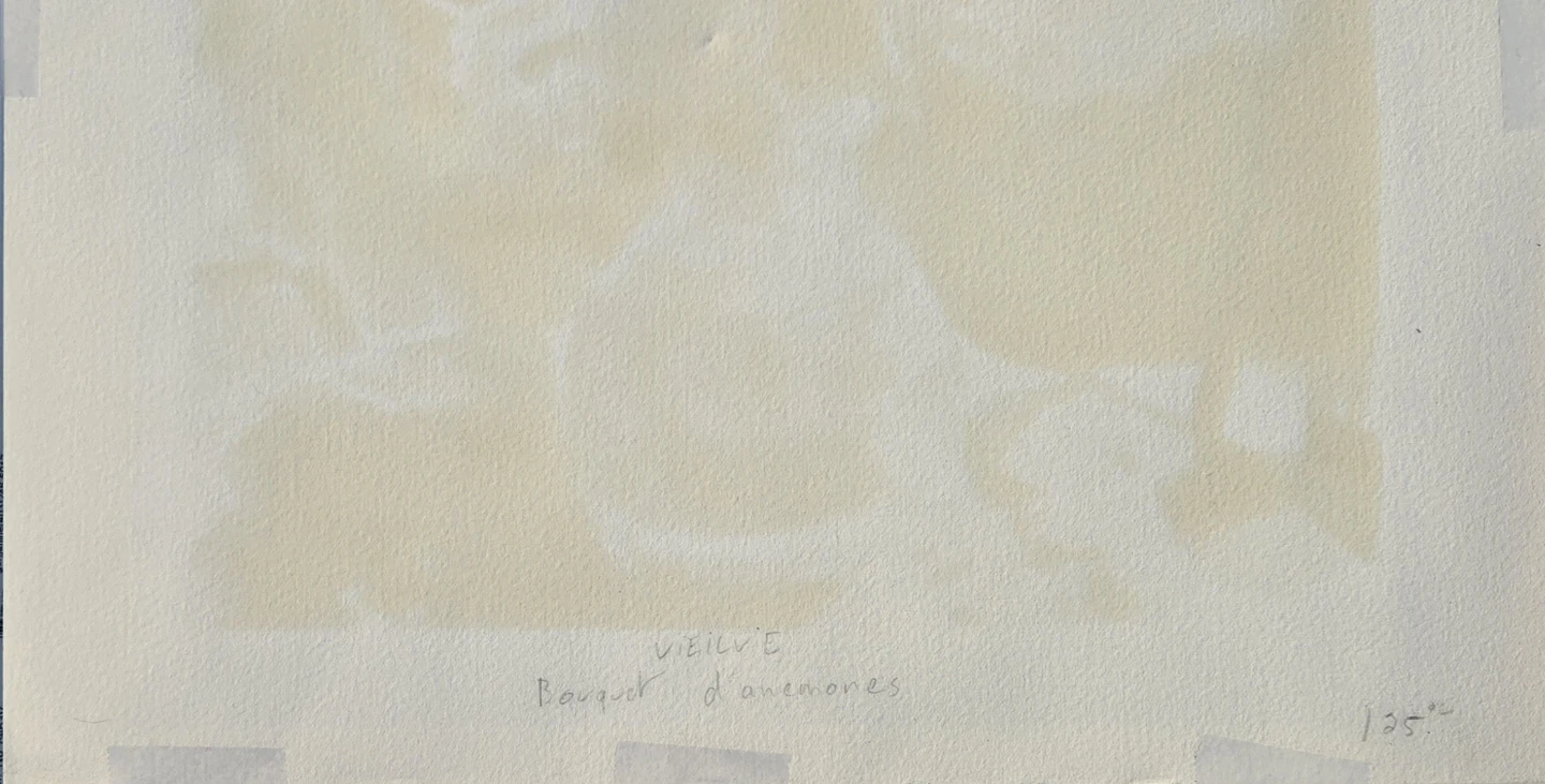 Gerard Vieillevie Signed Lithograph #180/250 - photo 5
