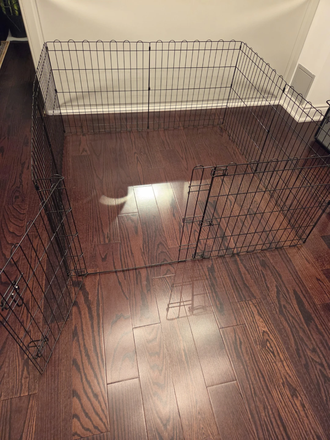 Black Metal Exercise Pet Pen with Door - photo 5