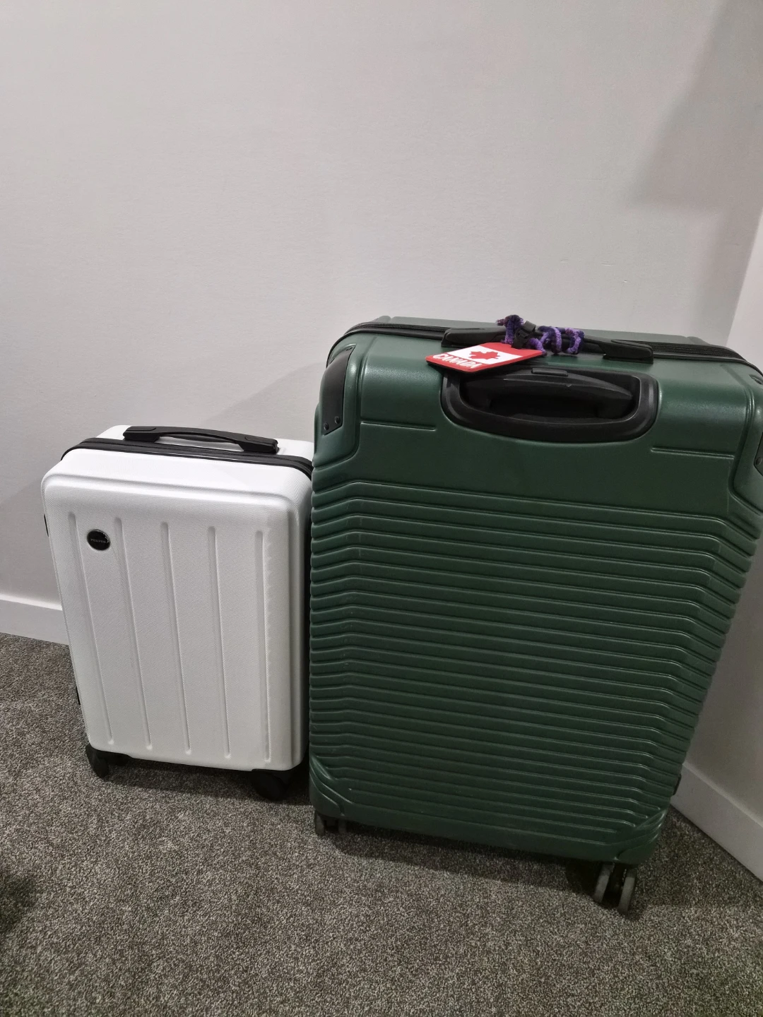 Green Hardshell Spinner Luggage - photo 3