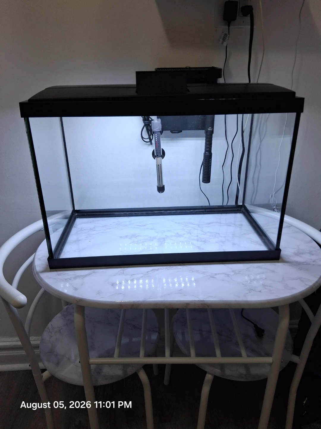 20 gallon Aquarium with Filter, Heater, light & hood