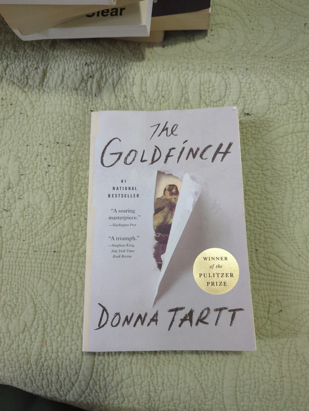 The Goldfinch by Donna Tartt - National Bestseller