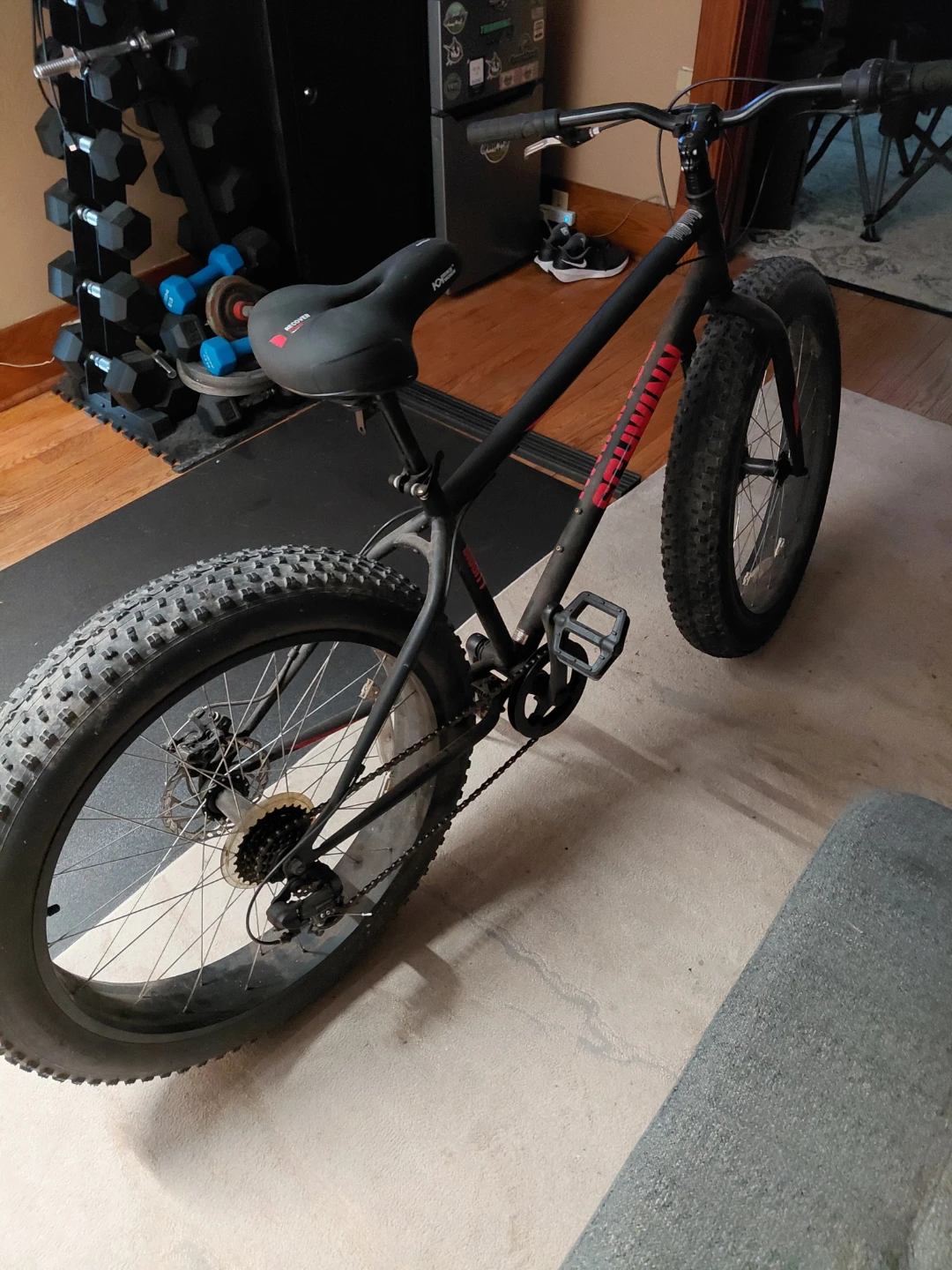 Schwinn Fat Tire Bike - photo 2