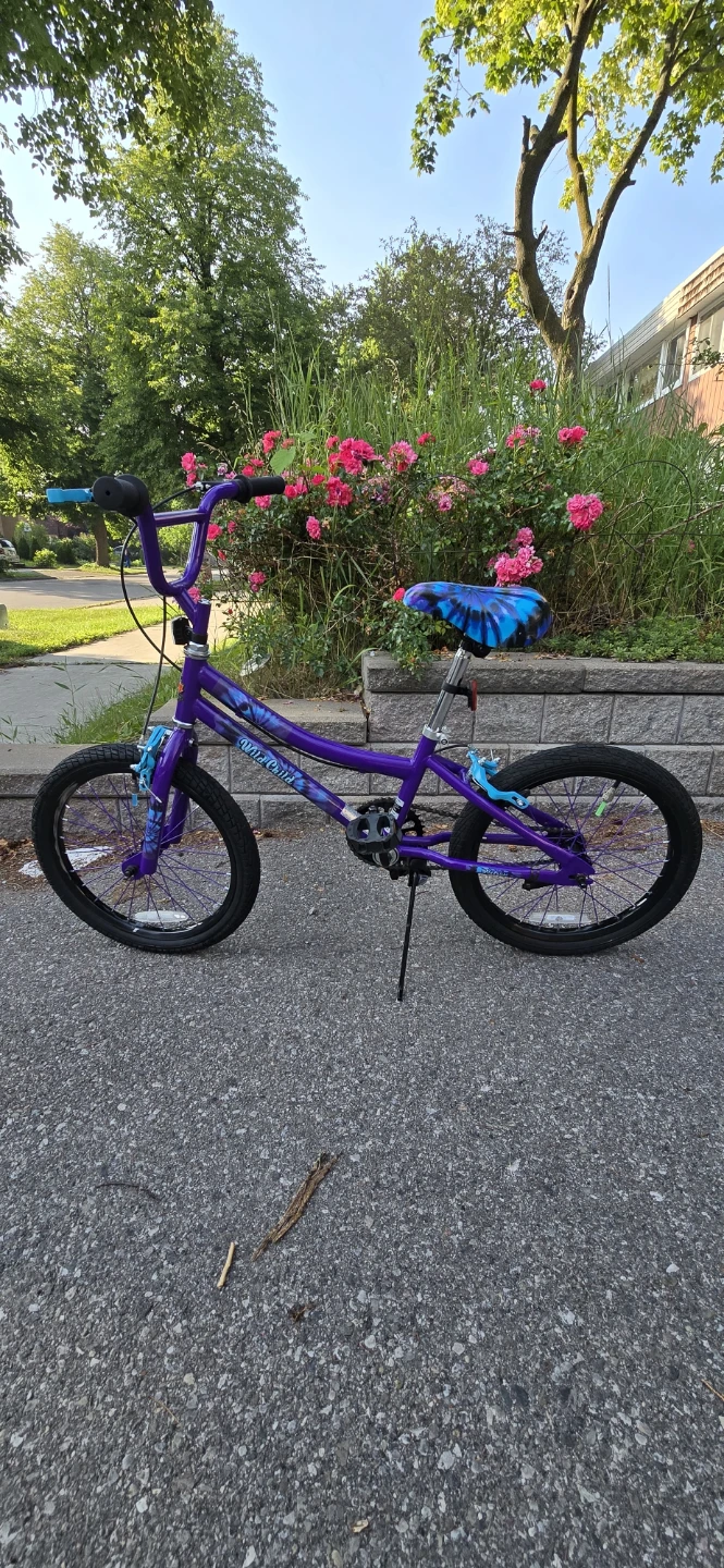 18" Stoneridge Wild Child Bike - Like New — $50 (Moving Sale)
