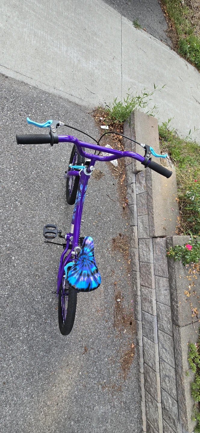 18" Stoneridge Wild Child Bike - Like New — $50 (Moving Sale) - photo 2