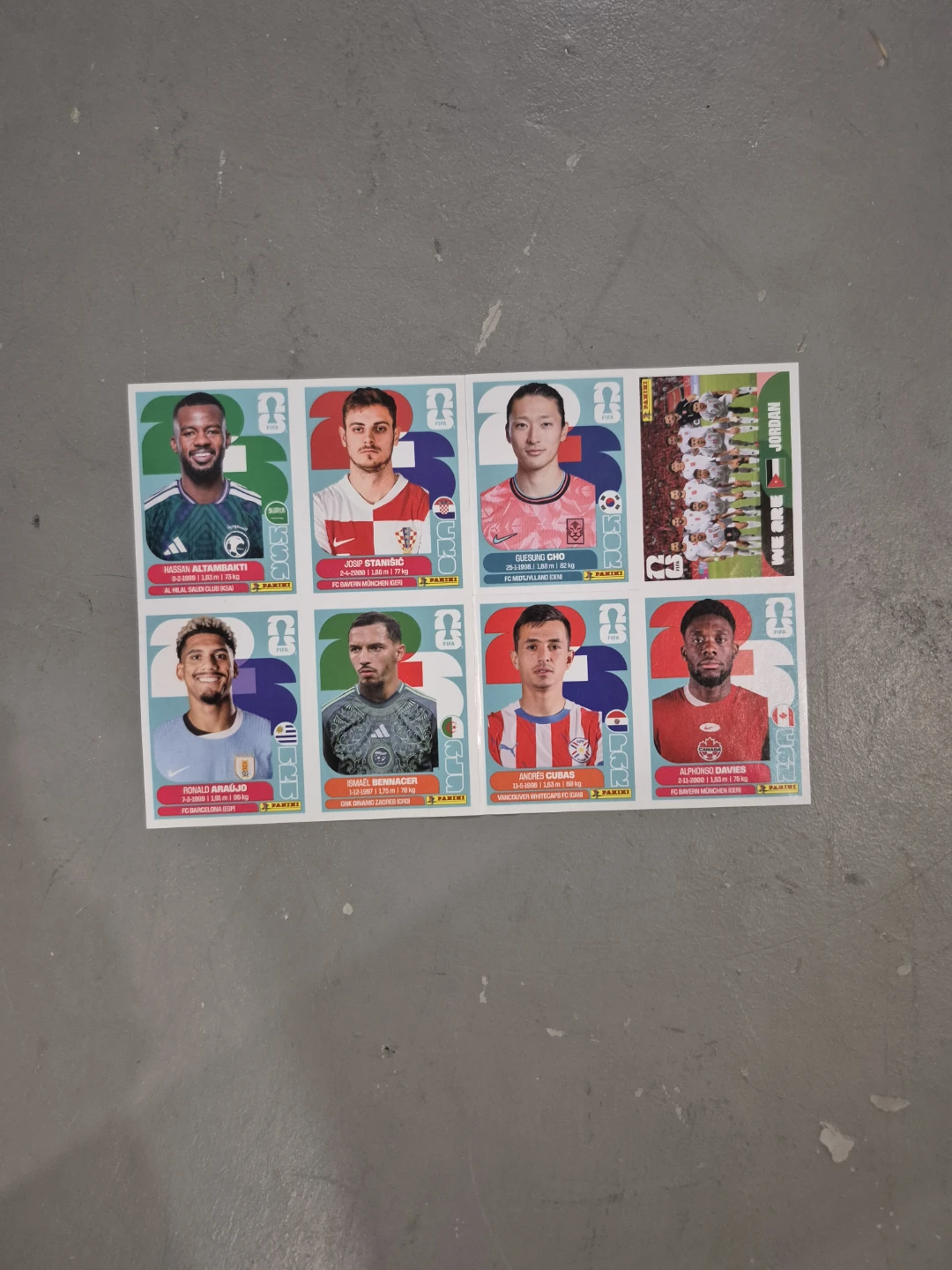 Panini FIFA World Cup 2026 Sticker Sheets - photo 5