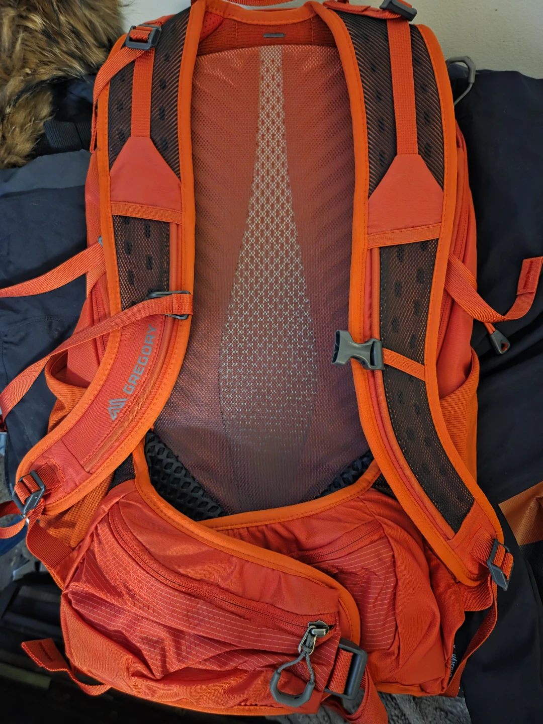 Gregory Red Backpack - photo 3
