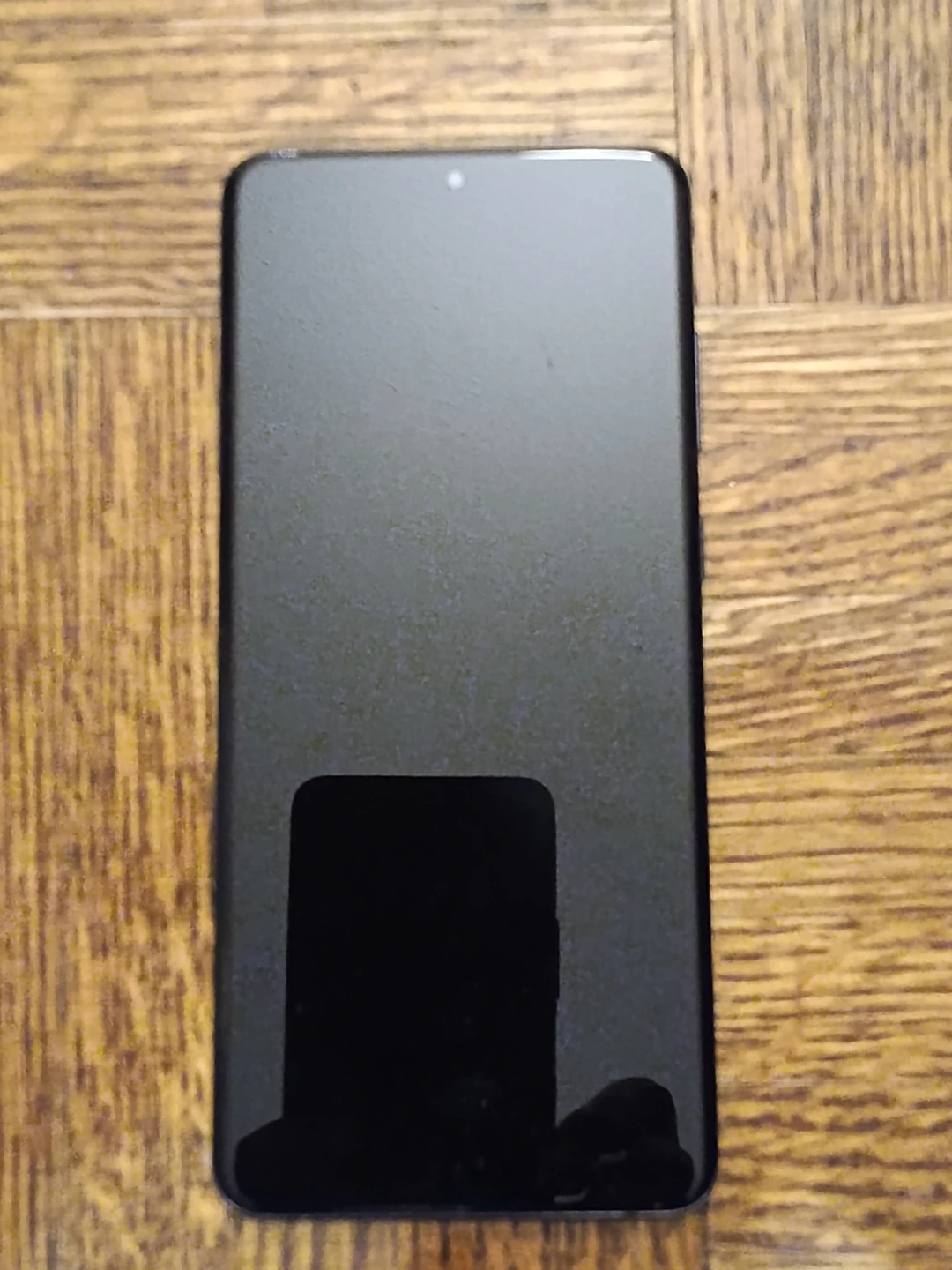 Samsung Galaxy S21 FE 5G replacement screen