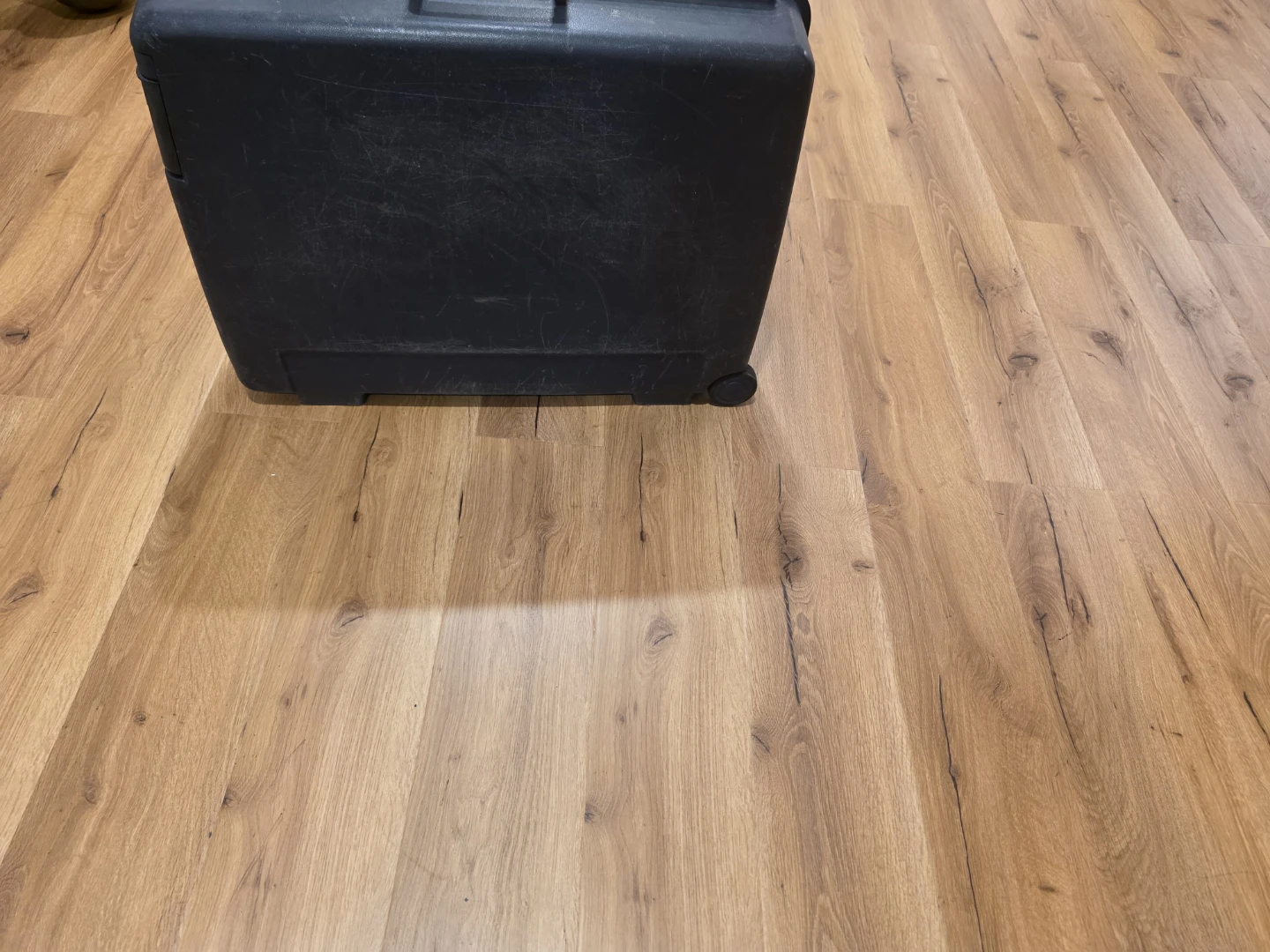 Vintage Delsey Suitcase - photo 4