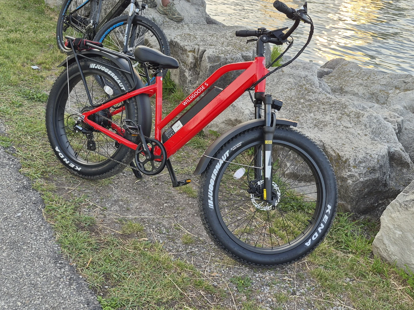 Wildgoose Red Electric Fat Bike - photo 2