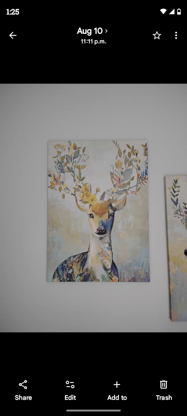 Deer Wall Art Canvas Painting