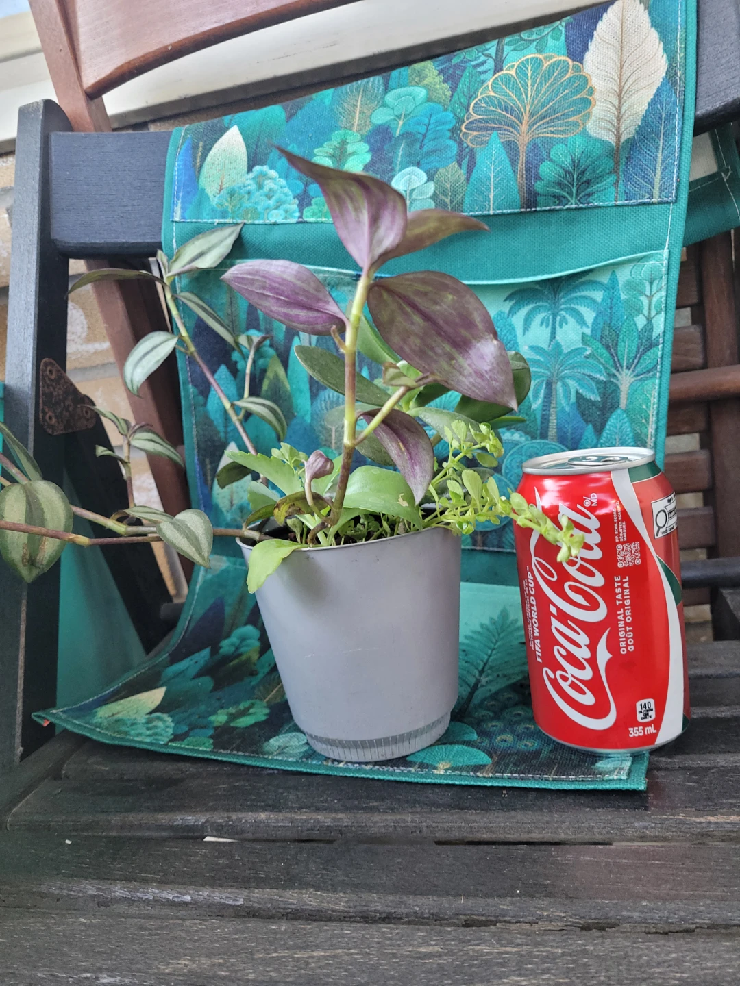 Mixed Potted Plant - photo 3