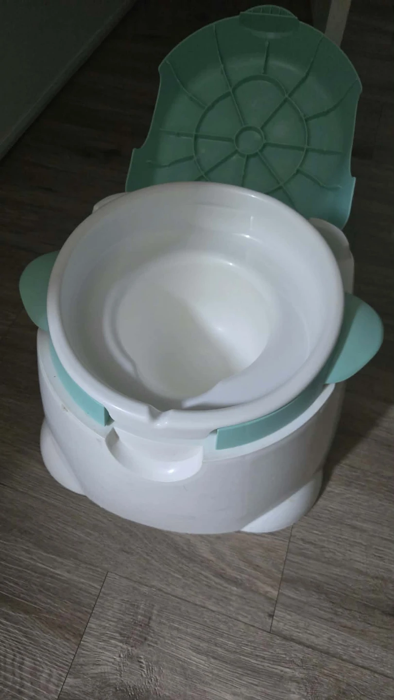 Toddler Potty Chair