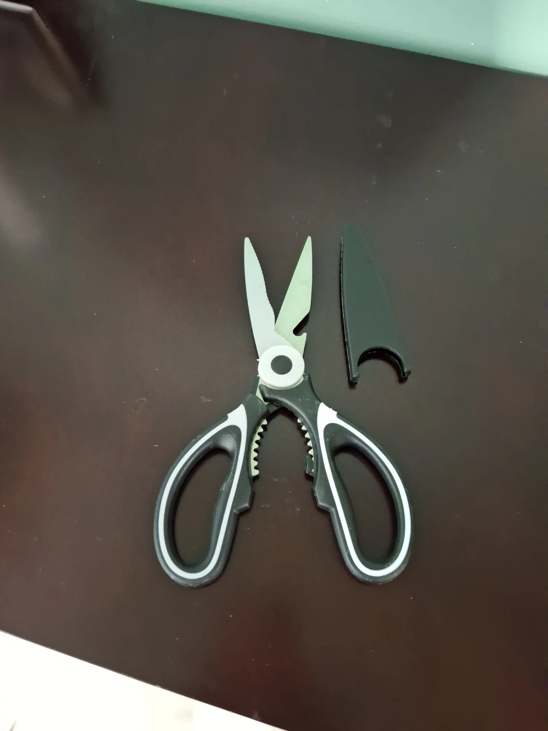 Kitchen Shears with Cover